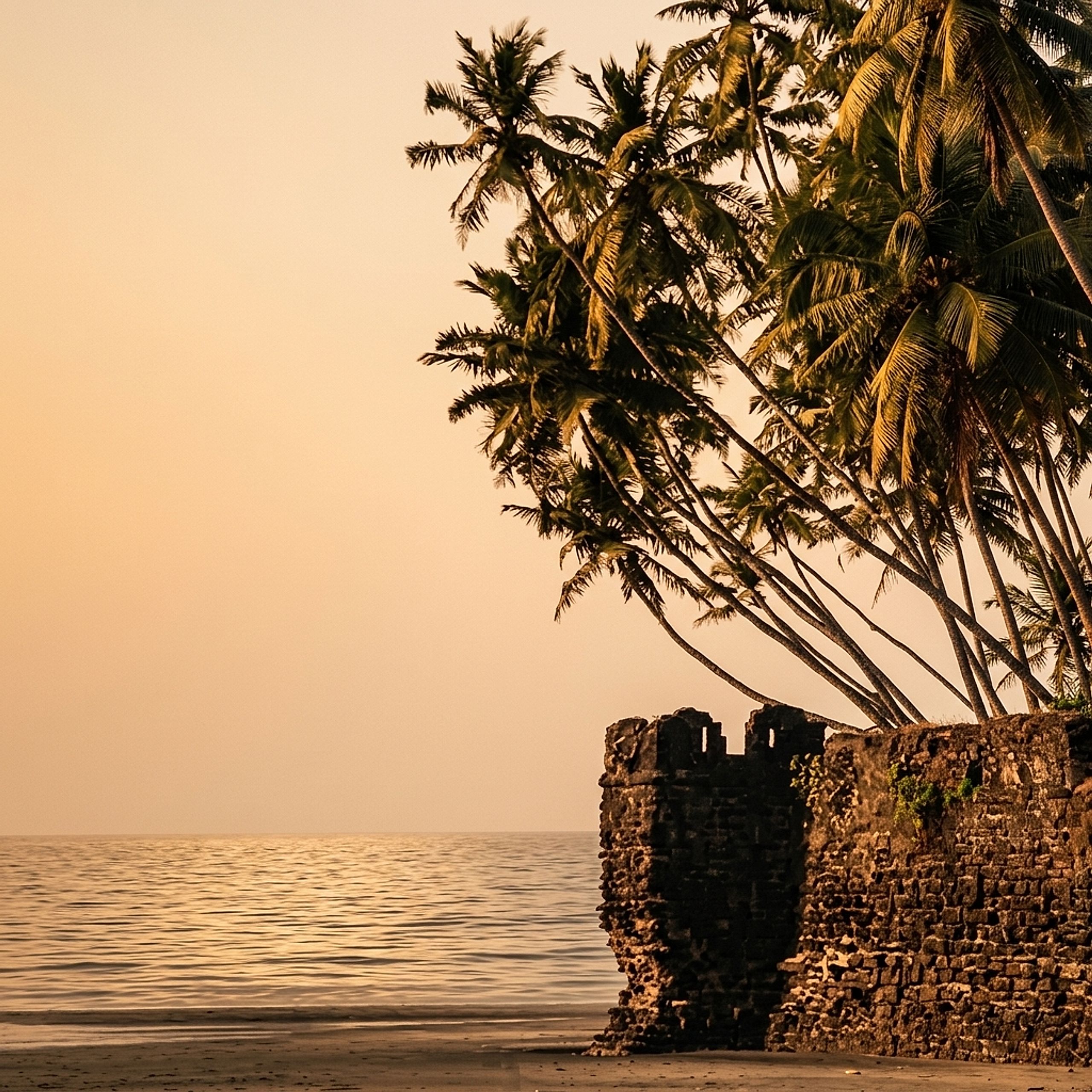 Alibaug coastline — palm grove and Kolaba Fort at low tide